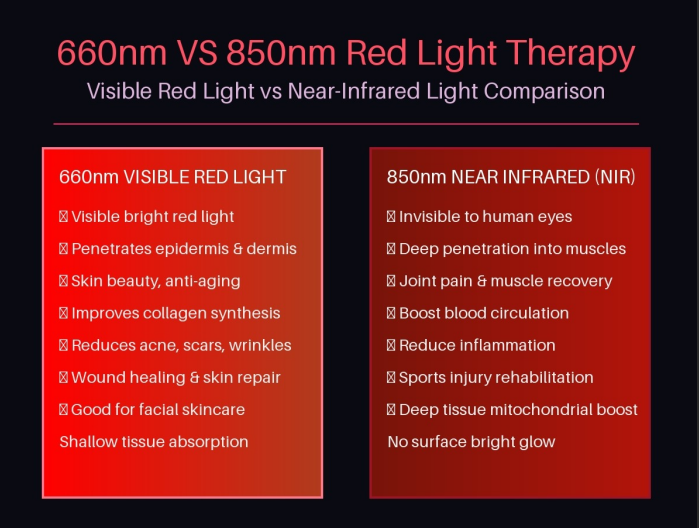 660nm vs 850nm Red Light Therapy: Which Wavelength Is Right for Your Wellness Routine?
